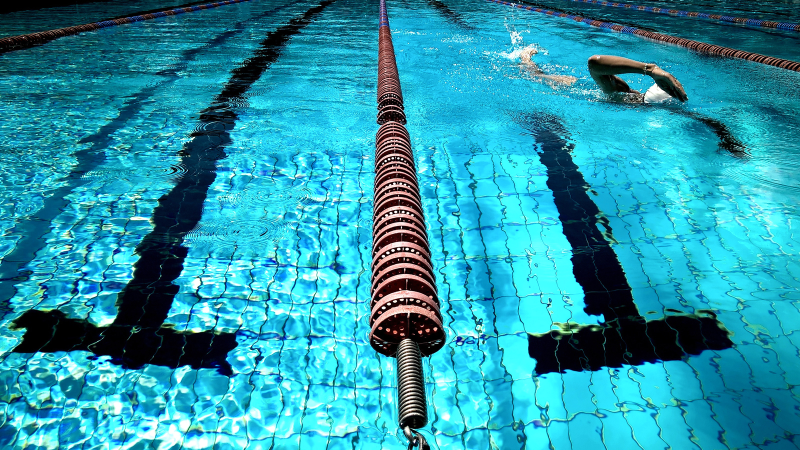 Programme Natation Été 2026
