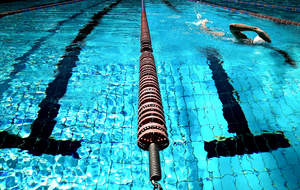 Programme Natation Été 2026